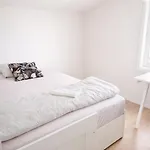 Kwatera prywatna Dt Serene - Oslo *